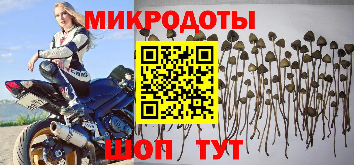 Псилоцибиновые грибы прущие грибы  Вход с VPN  купить наркоту  Электросталь 
